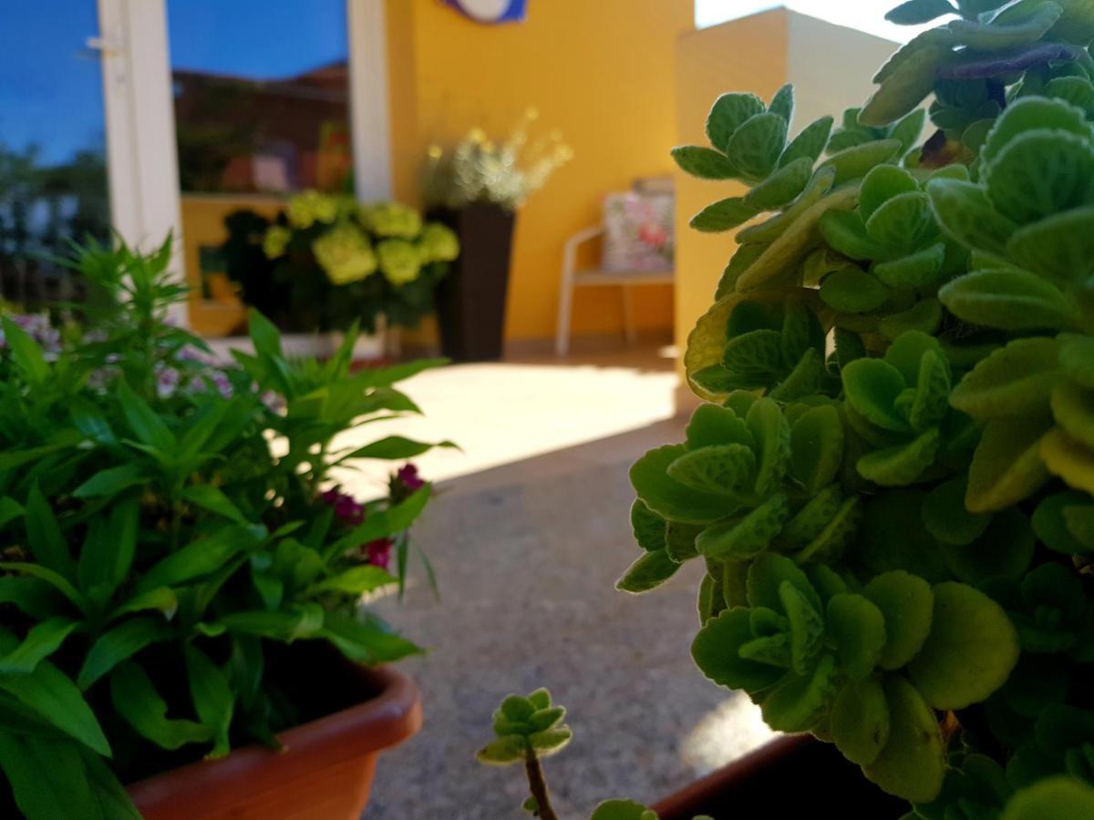 B&B L'Arcobaleno Pula Dış mekan fotoğraf